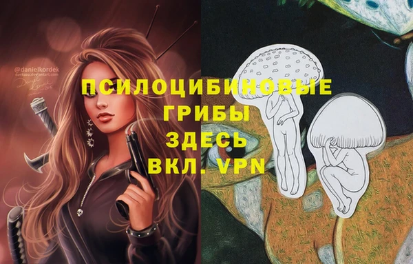 а пвп мука Бугульма