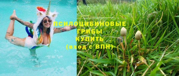 а пвп мука Бугульма