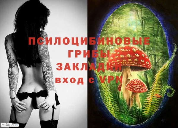 а пвп мука Бугульма