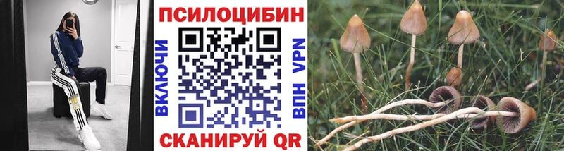 Галлюциногенные грибы мицелий  купить наркотики сайты  Будённовск 