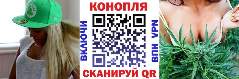 Бошки марихуана план  купить наркотики сайты  Будённовск 